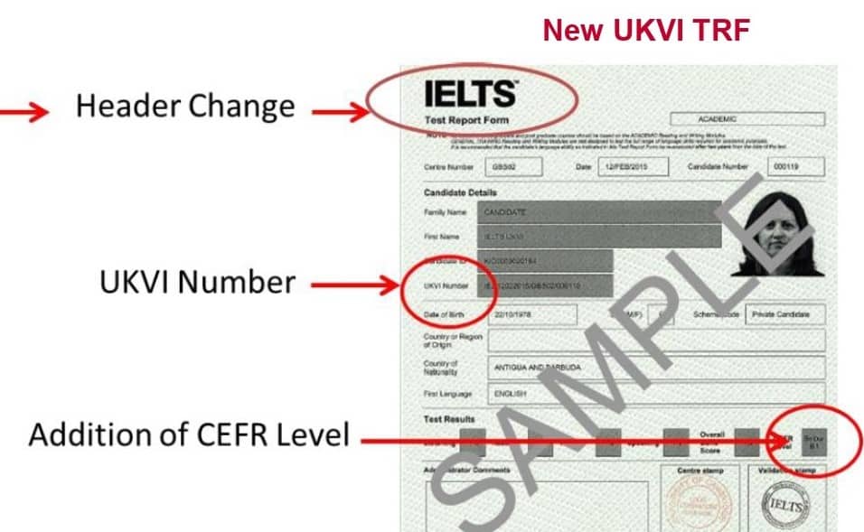 Buy IELTS Certificate Online